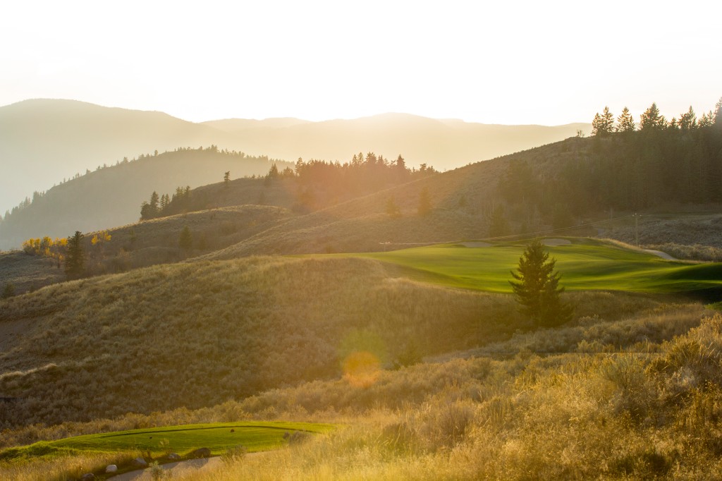 Vernon Real Estate The Rise Homes for Sale